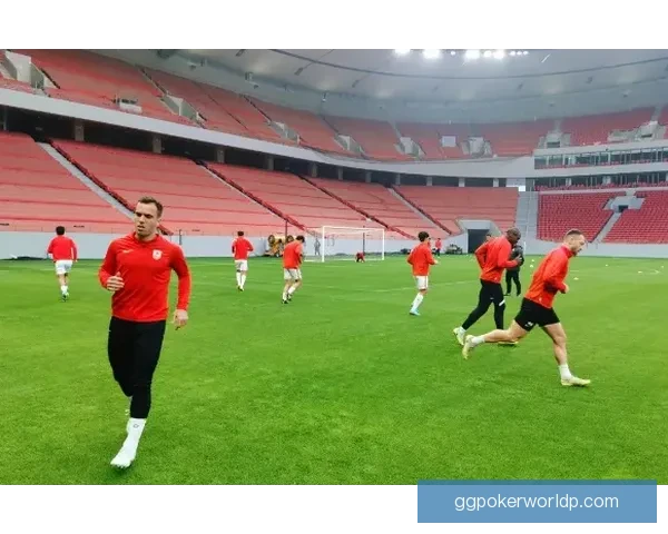 梅明根与汉口芬战平赛况解析及未来走势预测