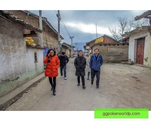 法蒂玛2-2塞尔纳谢周边环境与文化发展综合研究